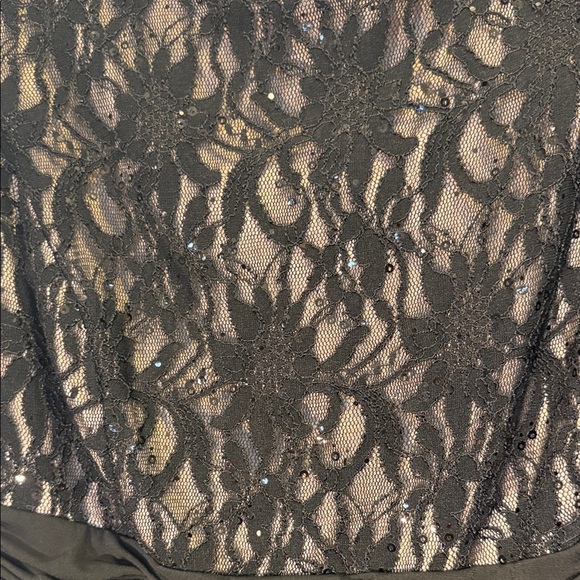 DressBarn Collection Elegant Black Lace Evening Dress - Picture 3 of 14